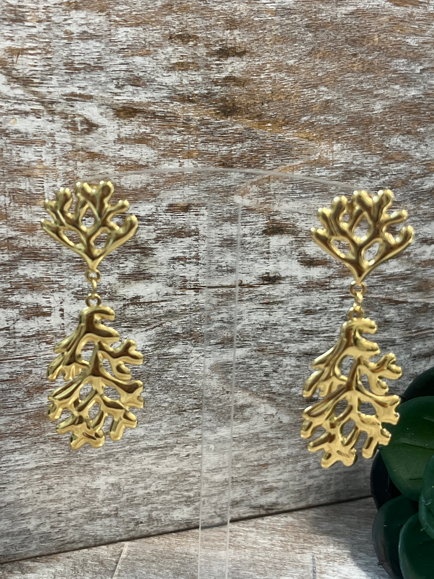 Coralito