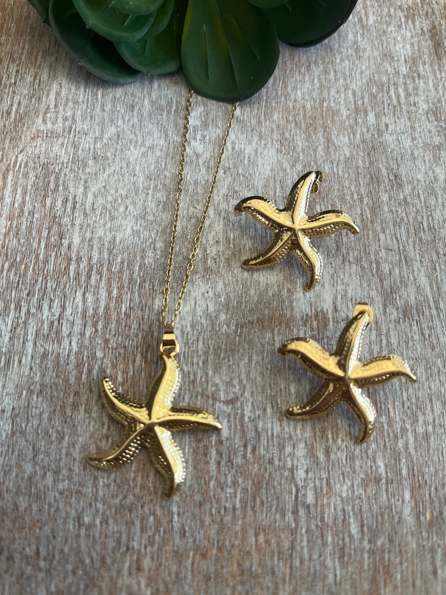 Estrella de Mar