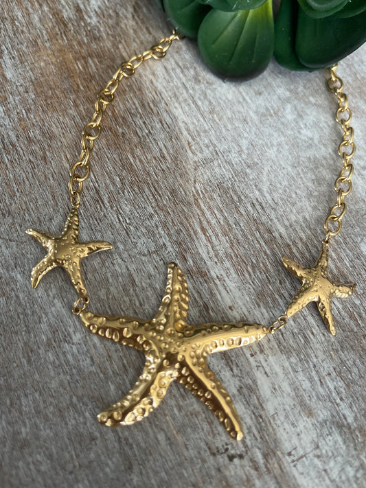 Estrellas de Mar