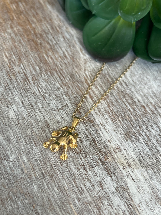Coqui Dorado